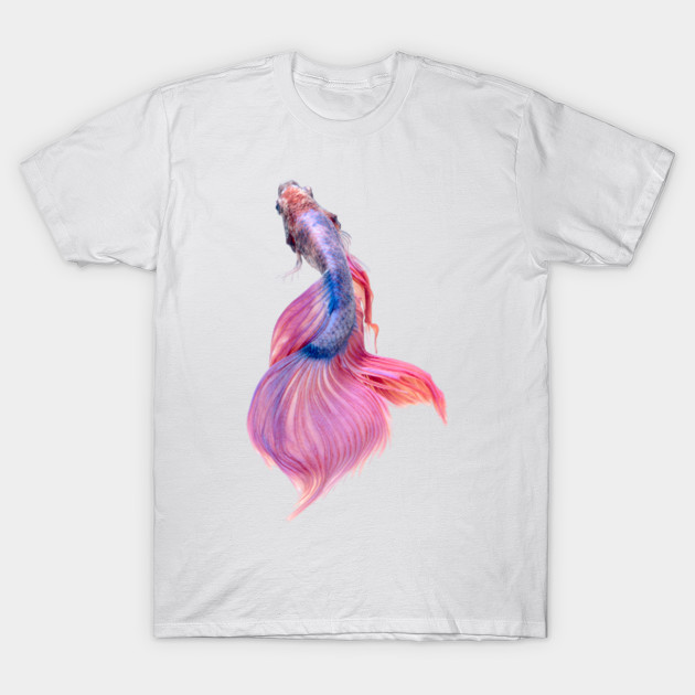 Beautiful Fighting Fish by lavprints